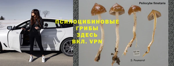 прущий лед Алексин