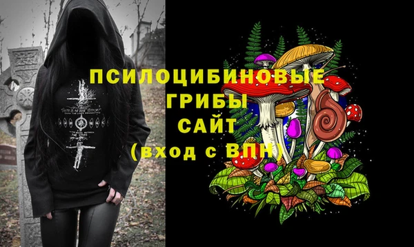 прущий лед Алексин