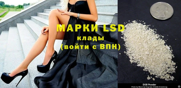 дживик Алзамай